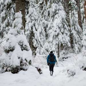 Person Hiking In Winter