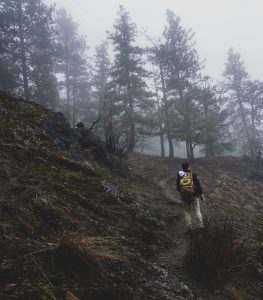 Man hiking in the forest