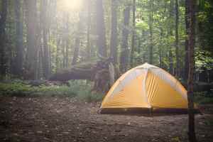 A One Person Backpacking Tent in the Forest